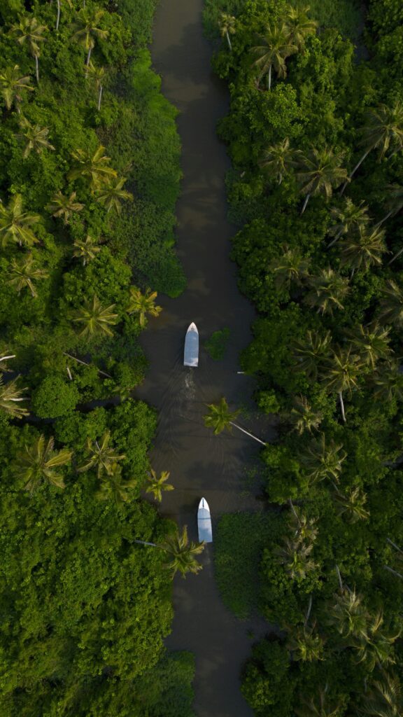 Budget Travel Destinations in India - Alleppey, Kerala