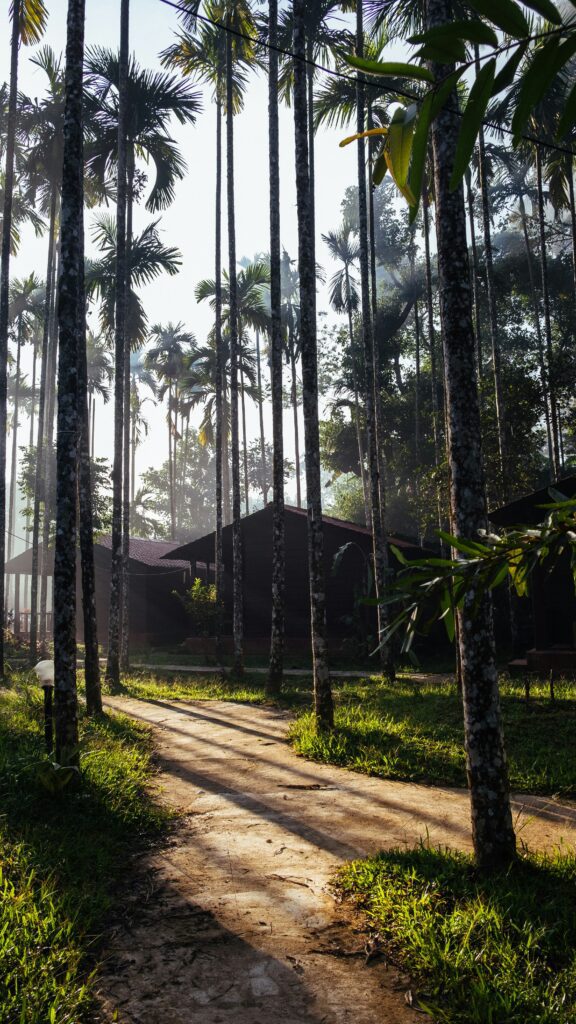 Monsoon Destinations - Coorg, Karnataka